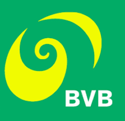 BVB Logo